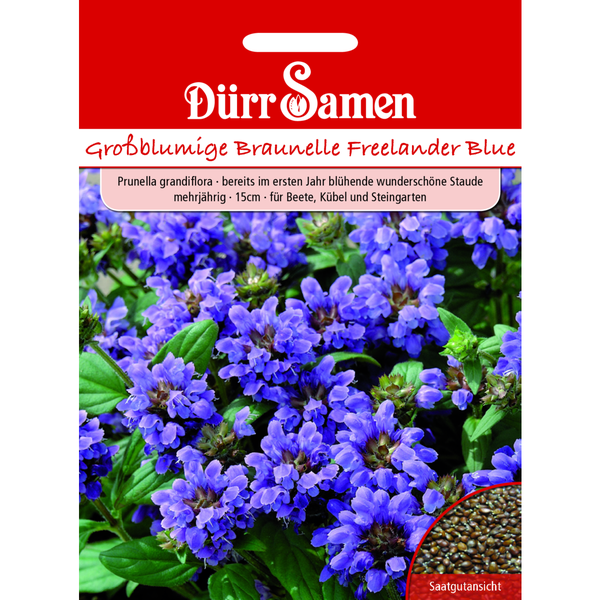 Anleitung zum Aufbau eines schwarzen Faltpavillons im Garten.