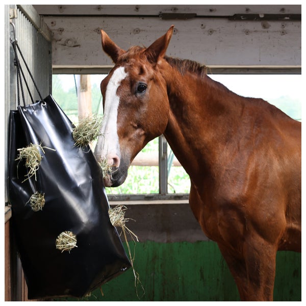 Pferd frisst Heu aus einer Heutasche mit Fresslöchern