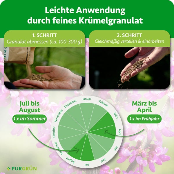 Anleitung für Düngergranulat: Abmessen von circa 100 bis 300 Gramm und gleichmäßig verteilen. Anwendung im Frühjahr und Sommer. Purgrün Logo.