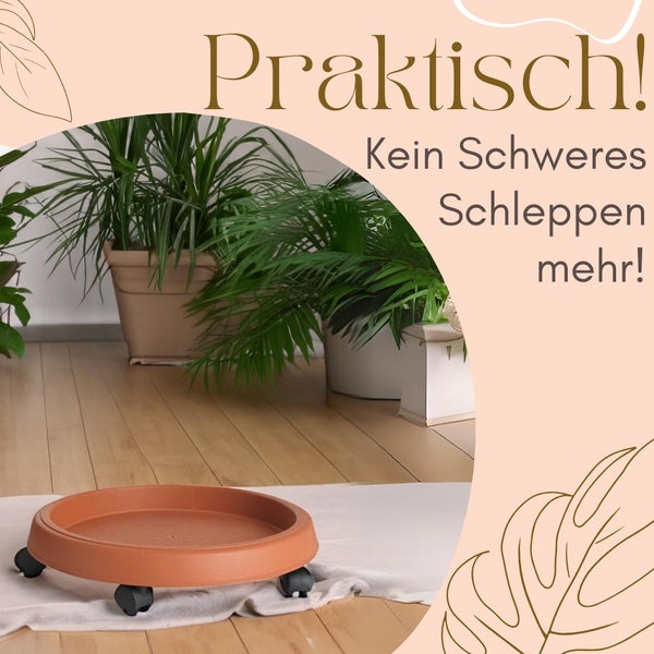 Pflanzenroller auf dem Boden mit Topfpflanzen im Hintergrund