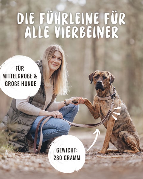 Rudelkönig Hundeleine Paola reflektierend in Rose Führleine Doppelleine reflektierend weich robust verstellbar Trainingsleine