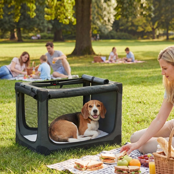 Beagle in faltbarer Mesh-Transportbox auf einer hellen Wiese im Park bei einem Picknick mit Menschen im Hintergrund.