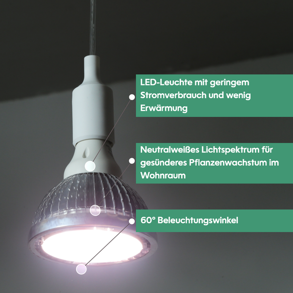 Parus by Venso Growlight Indoor plants LED E27 Pflanzenlampe, Vollspektrum, 18W Pflanzen Lampe, Venso Ecosolutions , verbesserte Photosynthese, höhere Chlorophyllbildung, Venso Pflanzenlampe Weiß