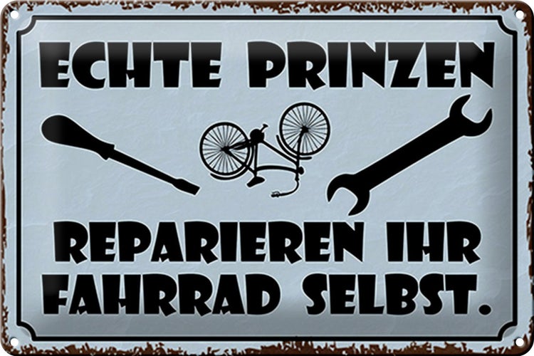 Blechschild Spruch 30x20cm Prinzen reparieren Fahrrad selbst