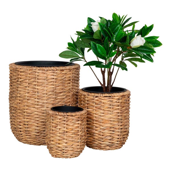 Hanoi Pflanzenschutz Satz von 3 Stk. Garten natur. 49 X 49 X 52 cm