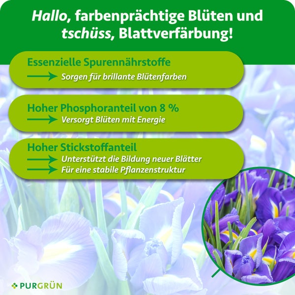 Infografik zum Purgrün Pflanzendünger mit Informationen zu Spurennährstoffen, Phosphor und Stickstoff für kräftige Blüten und gesundes Blattwachstum.