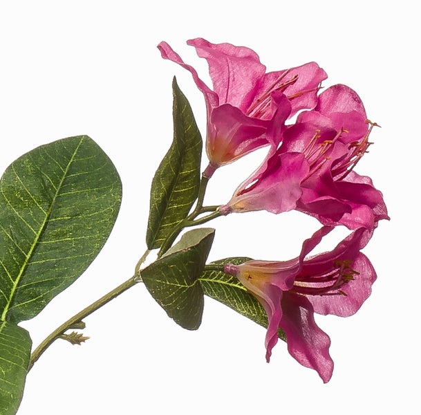 Künstlicher Azaleenzweig mit pinkfarbenen Blüten und grünen Blättern.