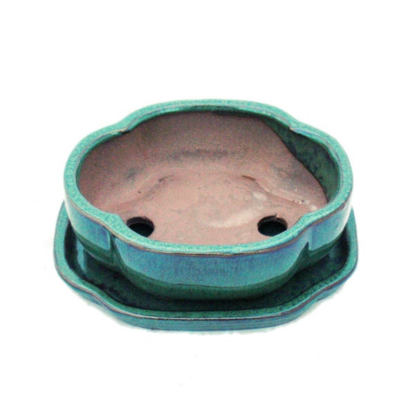 Illustration verschiedener Teichzonen mit Pflanzen in unterschiedlichen Tiefen