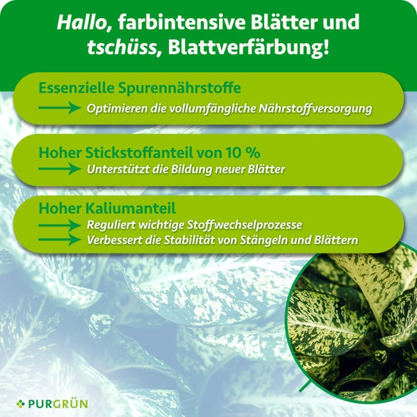 Infografik zum Purgrün Pflanzendünger für Blattschmuckpflanzen mit Erläuterungen zu Inhaltsstoffen wie Spurennährstoffen, Stickstoff und Kalium.