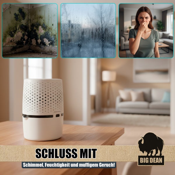 Bild zur Beseitigung von Schimmel, Feuchtigkeit und muffigem Geruch mit Luftentfeuchter