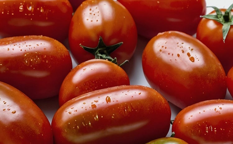 Hochbeet-Set „Bunte Ernte“, Bio-Jungpflanzen, Bio-Gemüse anbauen, Garten, Balkon, 1x Bio- Aubergine, 1x Bio-Spitzpaprika rot, 1x Bio-Blockpaprika, 1x  Bio-Cherrytomate, 1x Bio-Tomate San Marzano, 1x Bio-Zucchini