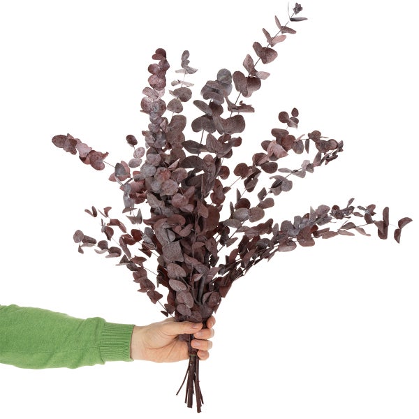 Keramikvase mit getrocknetem Eukalyptus auf Büchern in einem hellen, aufgeräumten Wohnzimmer mit Sofa und Kerze.
