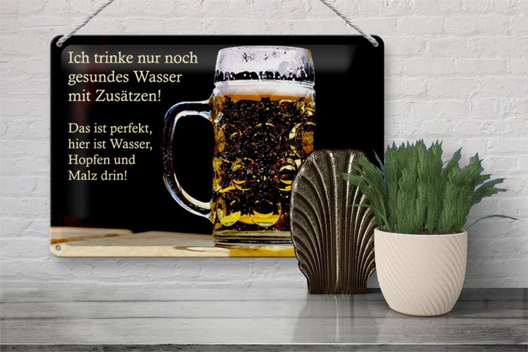 Blechschild Spruch 30x20cm trinke nur gesundes Wasser Bier