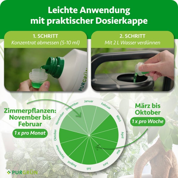 Infografik zur Anwendung von Pflanzendünger: Konzentrat abmessen, mit Wasser verdünnen und saisonaler Anwendungsplan für Zimmerpflanzen.