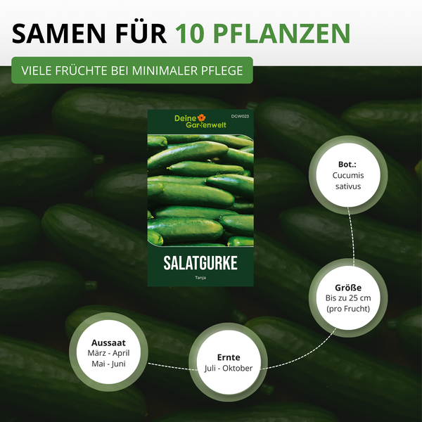 Infografik Salatgurke Tanja, Deine Gartenwelt Logo. Samen für 10 Pflanzen, Aussaat März bis Juni, Ernte Juli bis Oktober, Größe 25 Zentimeter.