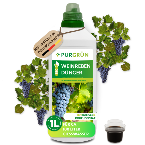 Purgrün Weinrebendünger in einer 1 Liter Flasche für gesundes Wachstum und saftige Früchte im Weinanbau