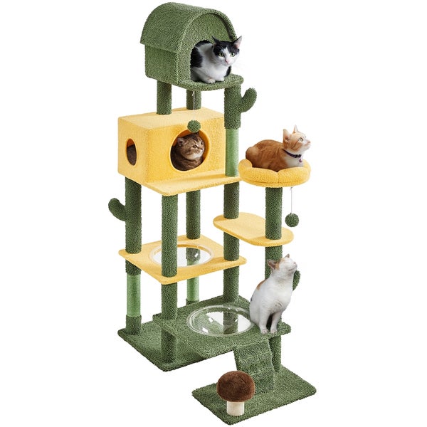 Katzenkratzbaum mit mehreren Ebenen und Katzen in verschiedenen Positionen