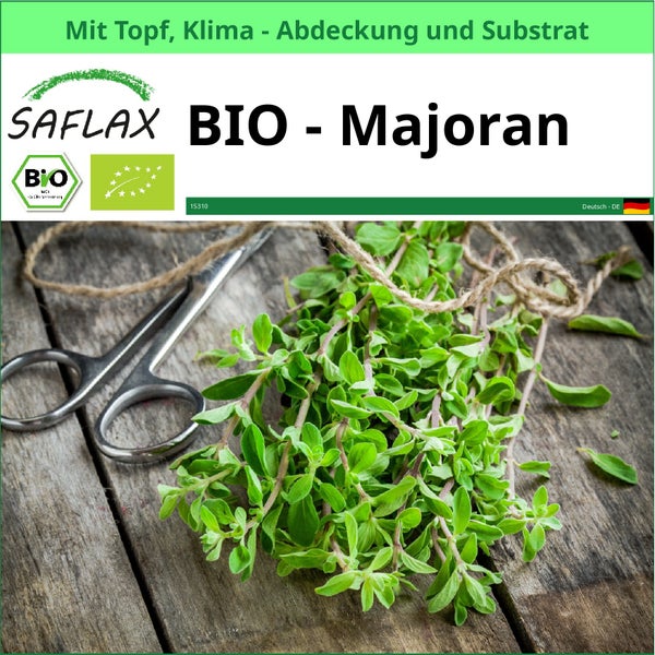 Saflax Bio Majoran mit Topf, Klimaabdeckung und Substrat