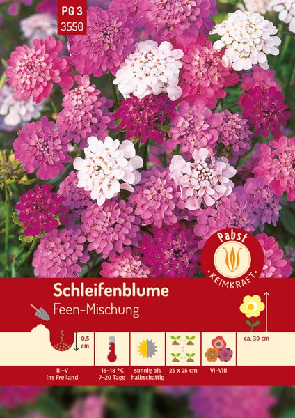 Samentüte für Schleifenblume Feen-Mischung mit bunten Blüten, Pabst Keimkraft Logo, Aussaat März bis Mai, Wuchshöhe circa 30 Zentimeter.