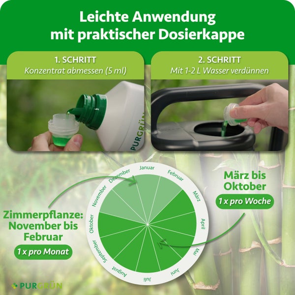 Anwendungshilfe für Purgrün Dünger mit Dosierschritten und saisonalem Düngekalender für Zimmerpflanzen.