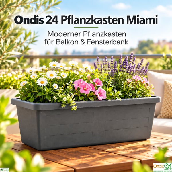Moderner Ondis 24 Pflanzkasten Miami für Balkon und Fensterbank, bepflanzt mit Gänseblümchen, Petunien und Lavendel auf einem Holztisch.