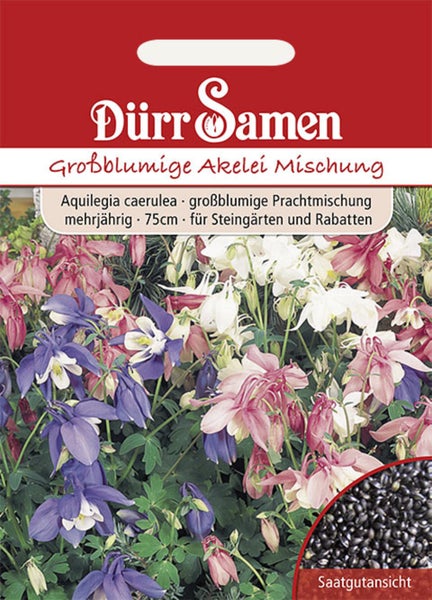 Samentüte Dürr Samen Großblumige Akelei Mischung, mehrjährig, circa 75 Zentimeter hoch, mit Abbildung von Blüten und Samen. Dürr Samen Logo.