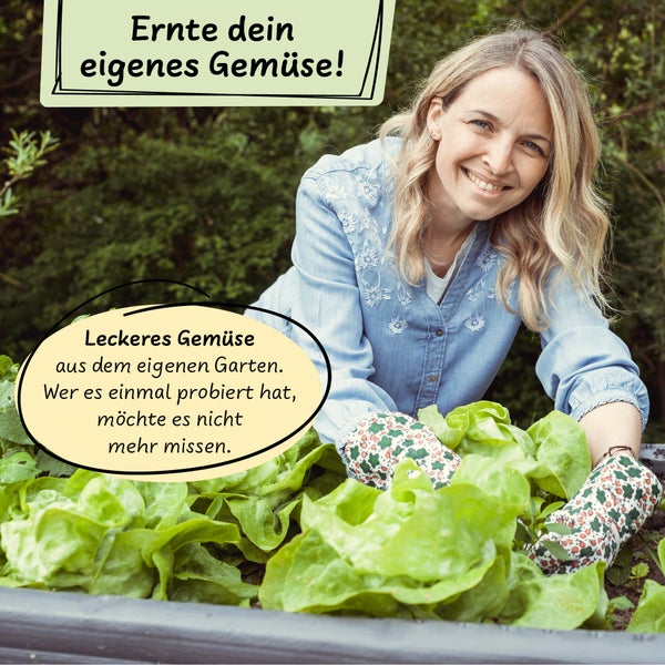 Eine lächelnde Frau erntet mit Gartenhandschuhen grünen Salat aus einem Hochbeet im Garten.