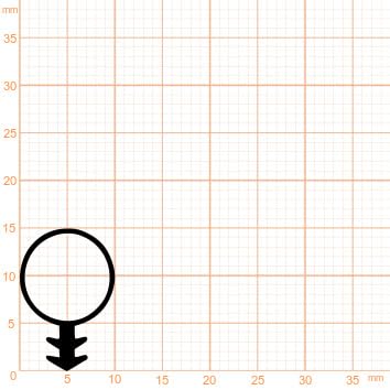 Querschnitt einer Schlauchdichtung mit Tannenbaumfuß auf Millimeterpapier, Höhe circa 12 Millimeter, Breite circa 8 Millimeter.
