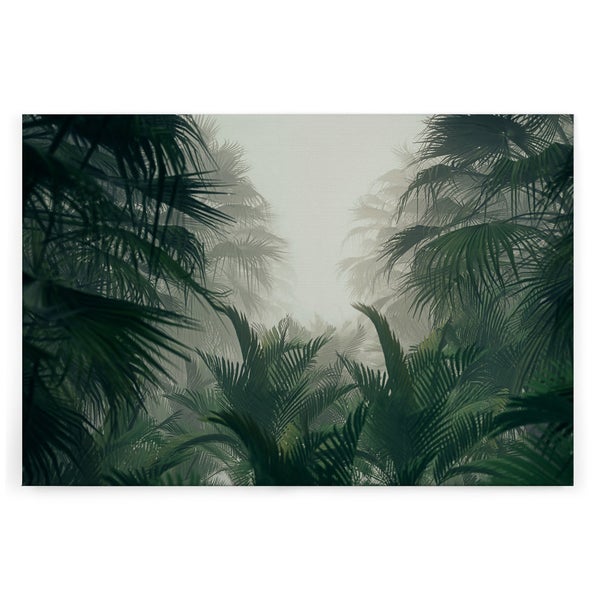 Wandbild mit Motiv von tropischen Palmen im Nebel