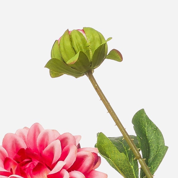 Nahaufnahme eines künstlichen Zweiges mit grünen Blättern und gezackten Rändern sowie einem bedornten Stiel.