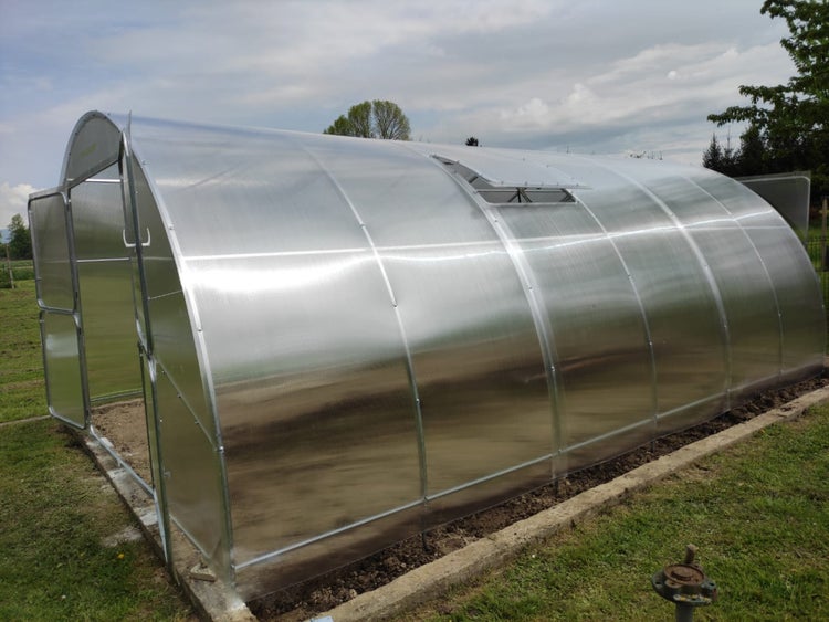 Gewächshaus aus Polycarbonat mit Aluminiumrahmen im Garten