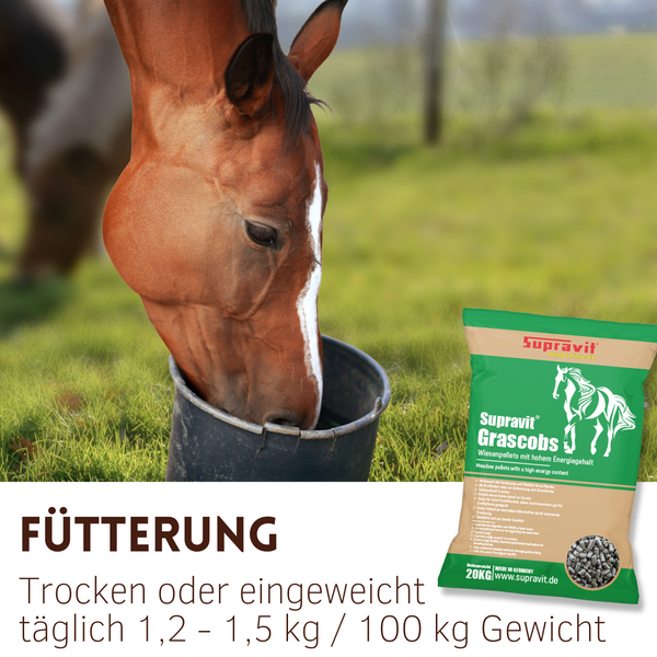 Pferd frisst aus Eimer neben einer Packung Supravit Grascobs Pferdefutter