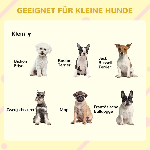 Geeignet für kleine Hunde: Abbildung verschiedener Hunderassen wie Bichon Frise, Boston Terrier, Jack Russell Terrier, Zwergschnauzer, Mops und Französische Bulldogge