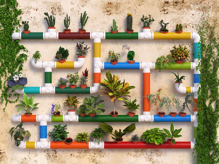 Wandregal aus Rohren mit verschiedenen Pflanzen