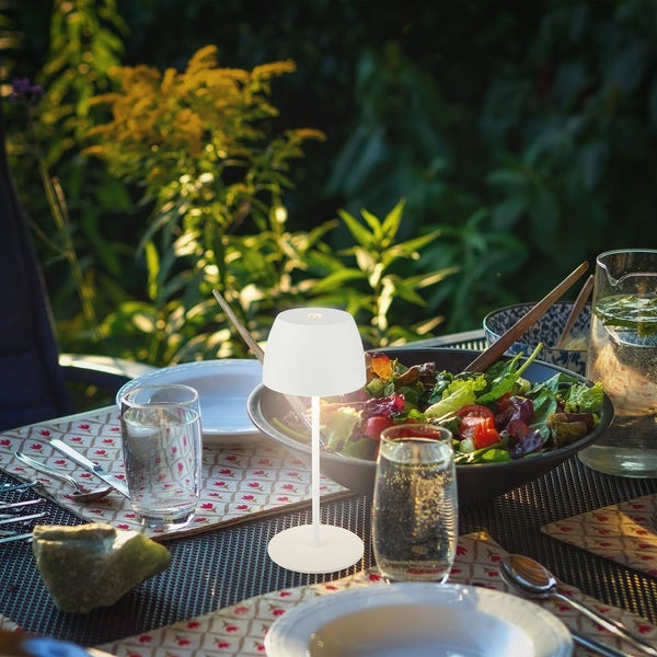 LED-Modul mit austauschbarem Akku und Leuchtmittel, USB-C Ladekabel und Schutzschalter gegen Tiefentladung.