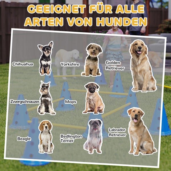 Infografik zeigt verschiedene Hunderassen auf einem Agility Parcours mit Hütchen und Stangen, geeignet für alle Arten von Hunden.