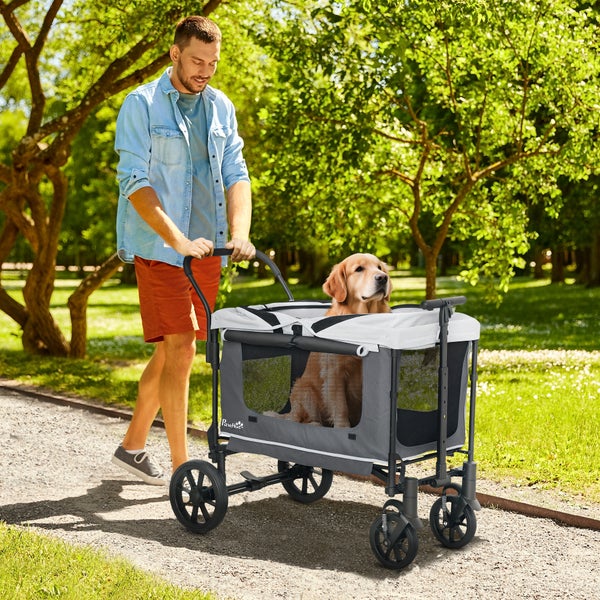 Mann schiebt einen Hundewagen mit Hund im Park