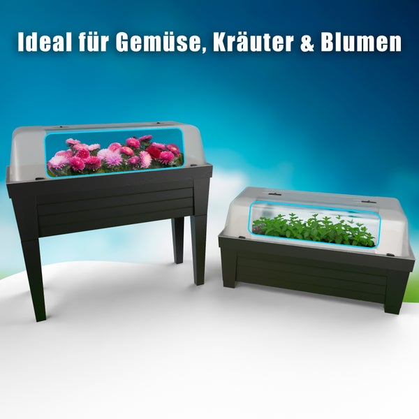Zwei Frühbeete mit Pflanzen, eines erhöht mit Beinen