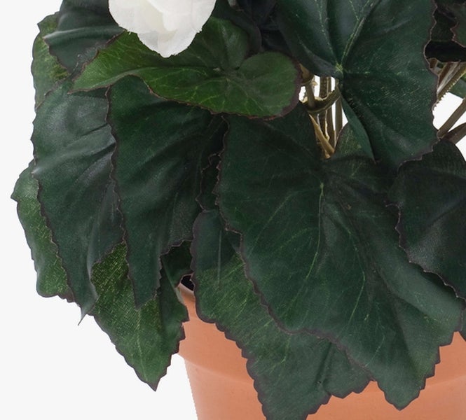 Künstliche Begonie mit grünen Blättern und weißen Blüten in einem terrakottafarbenen Topf.