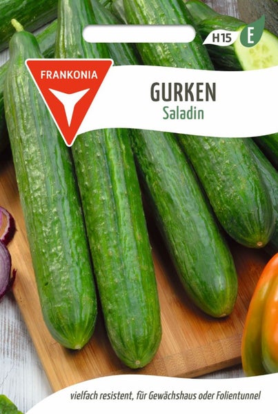 Gurken Saladin Samenpackung