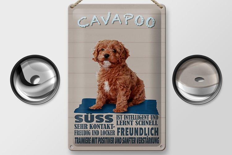 Blechschild Spruch 20x30cm Cavapoo Hund süss freundlich