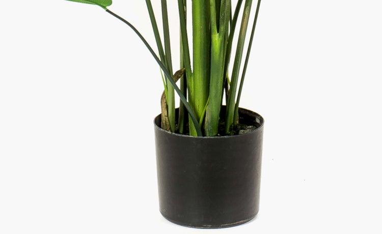 Kunstpflanze Heliconia ANURIA, 26 Blätter, grün, 175cm - Zimmerpflanze im Topf