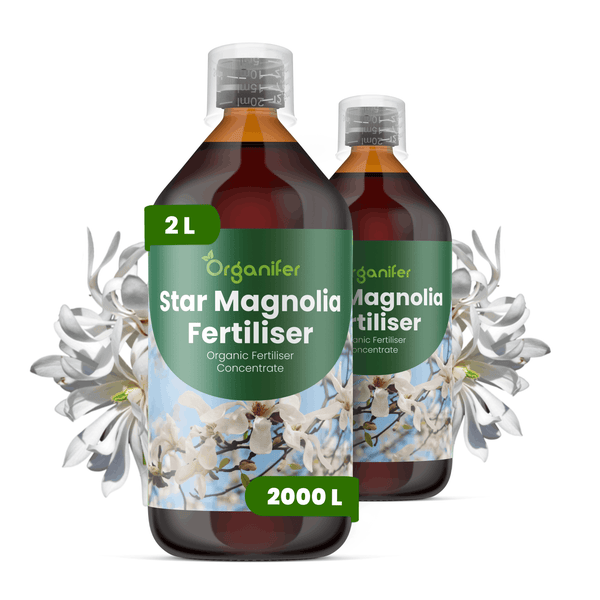 Organifer Stern-Magnolien-Dünger, organisches Düngerkonzentrat, zwei Liter.