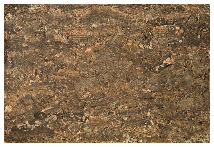 Naturbelassene Korkrinde mit grober, strukturierter Oberfläche zur Wandgestaltung oder Dekoration.