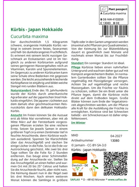 SAFLAX Garden to go - Kürbis - Japan Hokkaido - Cucurbita maxima - 10 Samen - Mit Topf, Klima - Deckel und Anzuchtsubstrat