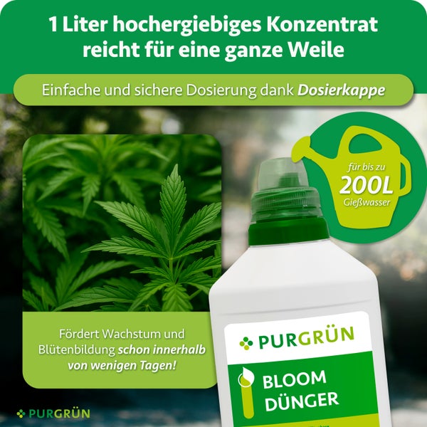 Eine Flasche Purgrün Bloom Dünger Konzentrat mit Dosierkappe für bis zu 200 Liter Gießwasser, geeignet zur Förderung von Pflanzenwachstum.