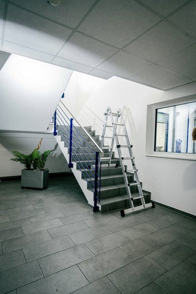 Eine Mehrzweckleiter aus Aluminium steht auf einer gefliesten Treppe in einem hellen, modernen Treppenhaus mit Geländer und Zimmerpflanze.