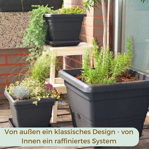 Außenbereich mit bepflanzten, quadratischen Pflanzgefäßen