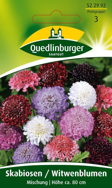 Samenpackung für Skabiosen und Witwenblumen Mischung, Wuchshöhe circa 80 Zentimeter, bunte Blüten, Quedlinburger Saatgut Logo.