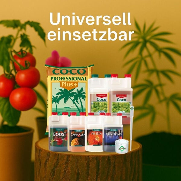 Set aus CANNA Coco Professional Plus Substrat und Flüssigdüngern wie Coco, Boost, Cannazym, PK 13/14 und Rhizotonic für Pflanzen.